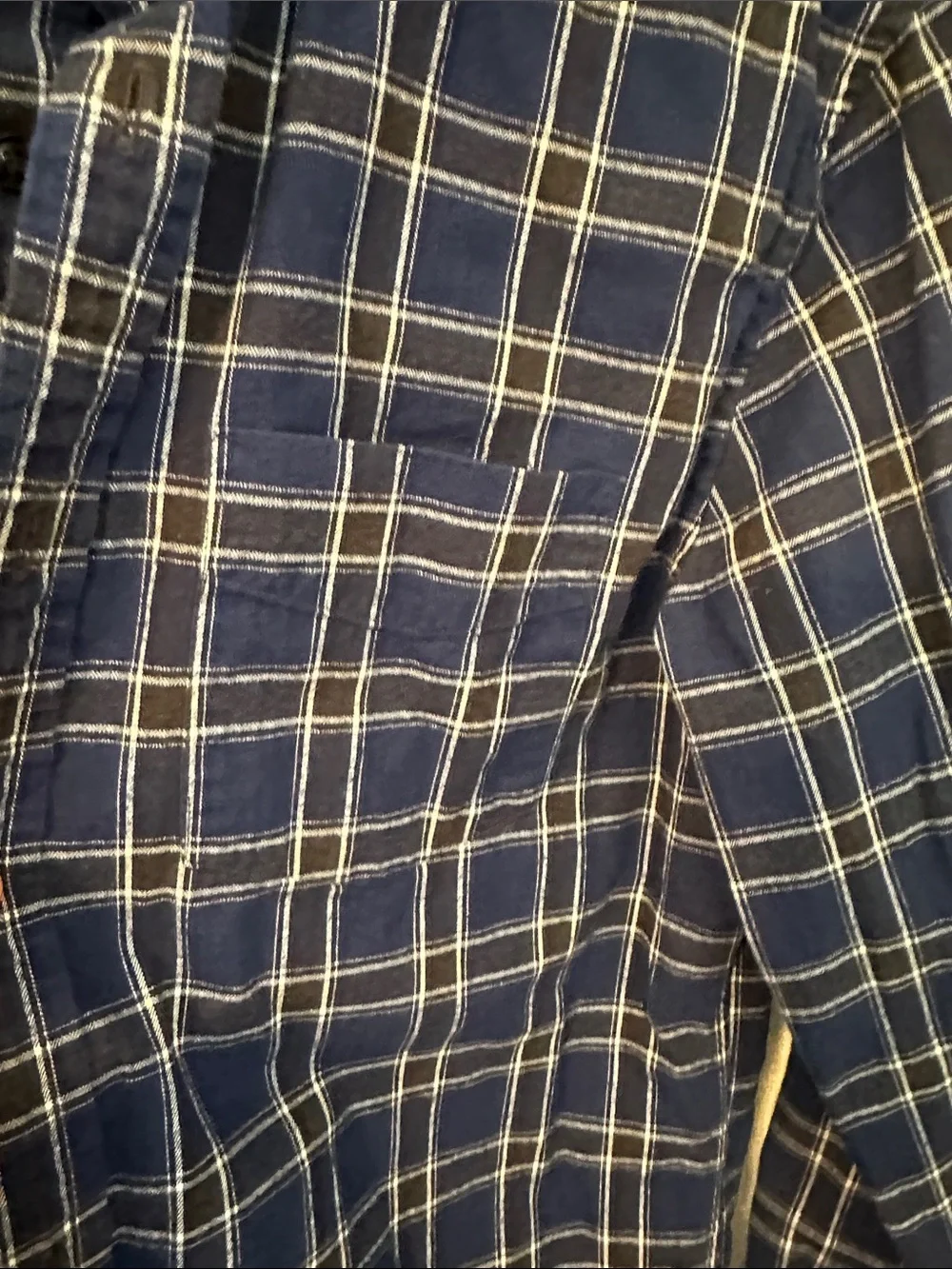 Banana Republic Navy and White Plaid Button-Down Shirt